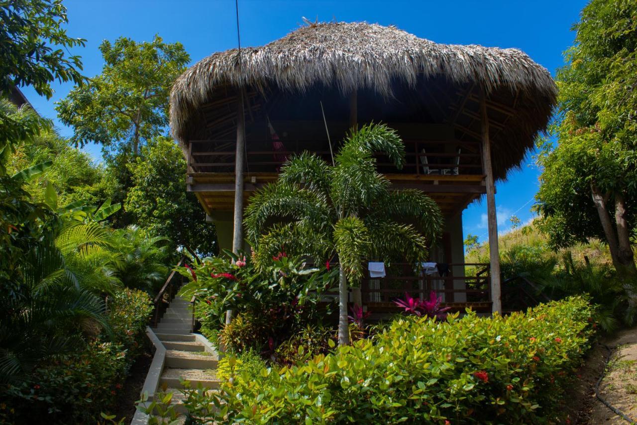 Hotel Isabella Tayrona Лос-Наранхос Екстер'єр фото