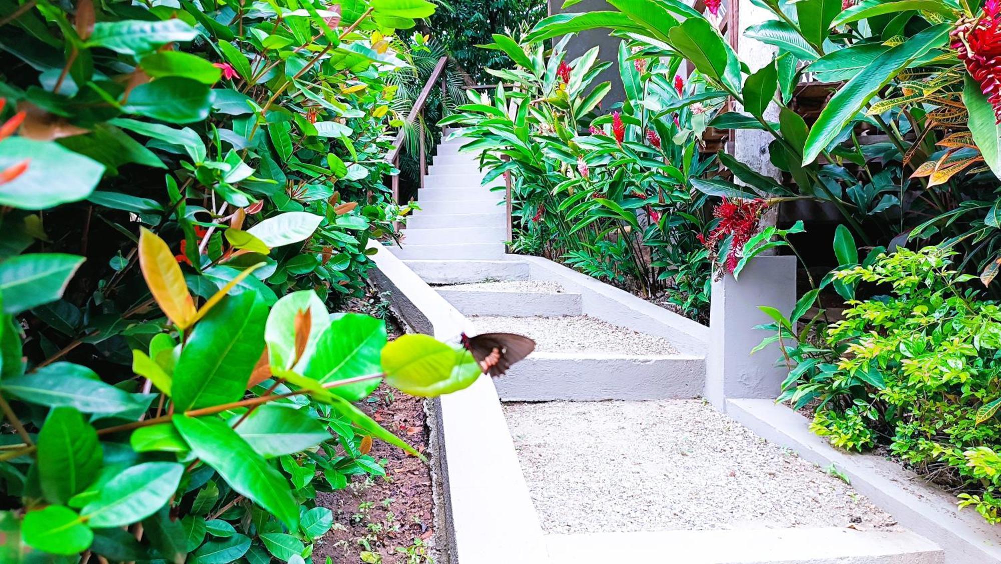 Hotel Isabella Tayrona Лос-Наранхос Екстер'єр фото
